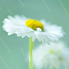 <a href='/e/space/?userid=83381' target='_blank'>abc9527</a>