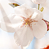<a href='/e/space/?userid=38169' target='_blank'>ziyeacg</a>