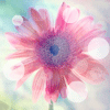 <a href='/e/space/?userid=42350' target='_blank'>xzc1994914</a>
