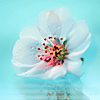<a href='/e/space/?userid=3038' target='_blank'>qyiaou</a>