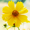 <a href='/e/space/?userid=3038' target='_blank'>qyiaou</a>