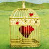 <a href='/e/space/?userid=23554' target='_blank'>乌鸦白</a>