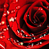 <a href='/e/space/?userid=82025' target='_blank'>zhangssqing</a>