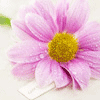<a href='/e/space/?userid=50757' target='_blank'>lp2333</a>