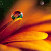 <a href='/e/space/?userid=73061' target='_blank'>NowB</a>